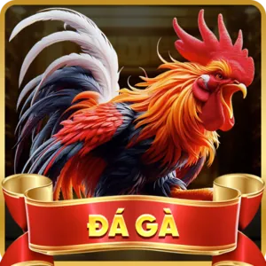Cá cược có trách nhiệm 36win Android